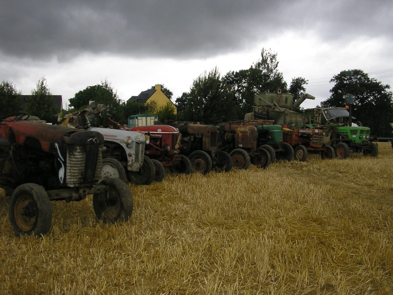 Fte de la moisson - Guipel (35) P8032915