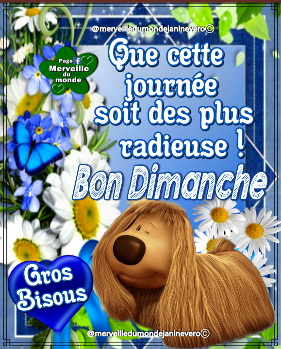 bonjour - Bonjour, bonsoir de Mai - Page 2 10270415