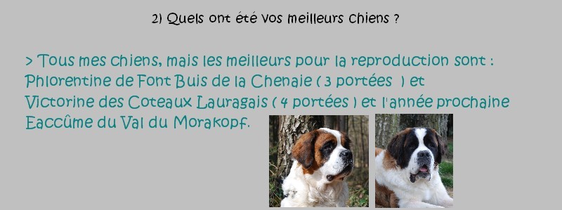 LE CLOS DU VERT FEUILLAGE Interv12