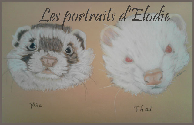 Thai et Mia, furets aux pastels sec  Dessin17