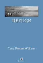 TEMPEST WILLIAMS, Terry Cvt_re12