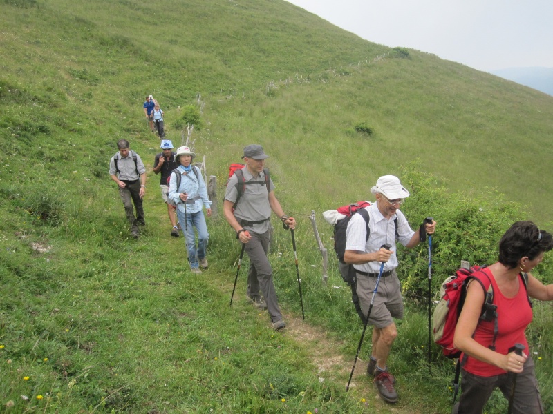 ESCURSIONE DEL 17/07/2011 da Campofontana, cima Lobbia, rifugio Bertagnoli Da_cam10