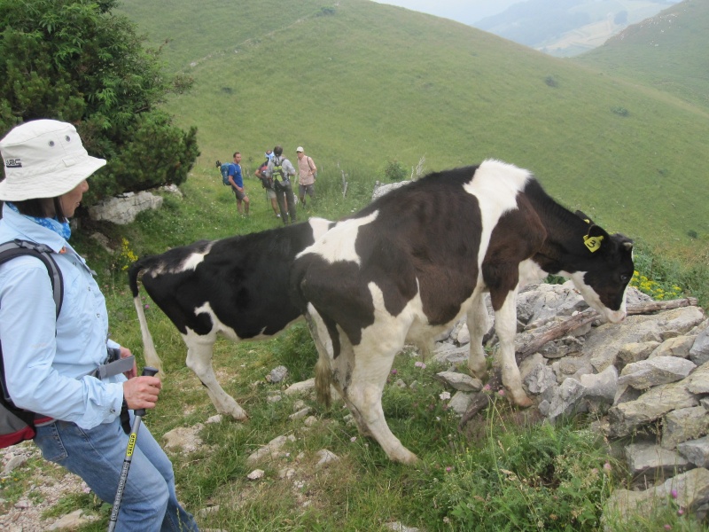 ESCURSIONE DEL 17/07/2011 da Campofontana, cima Lobbia, rifugio Bertagnoli Da_cam11