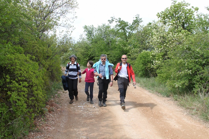 ESCURSIONE del 22/04/2012 da Volargne a Ceraino con visita dei forti Monte e Ceraino Img_6138