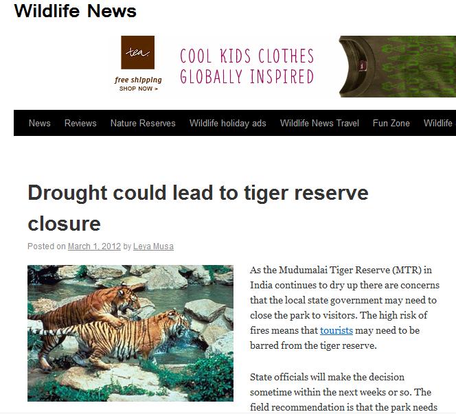 Tiger Drought Threat Wa133