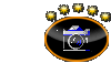 fotografo ufficiale DMF fotografo ufficiale DMF
