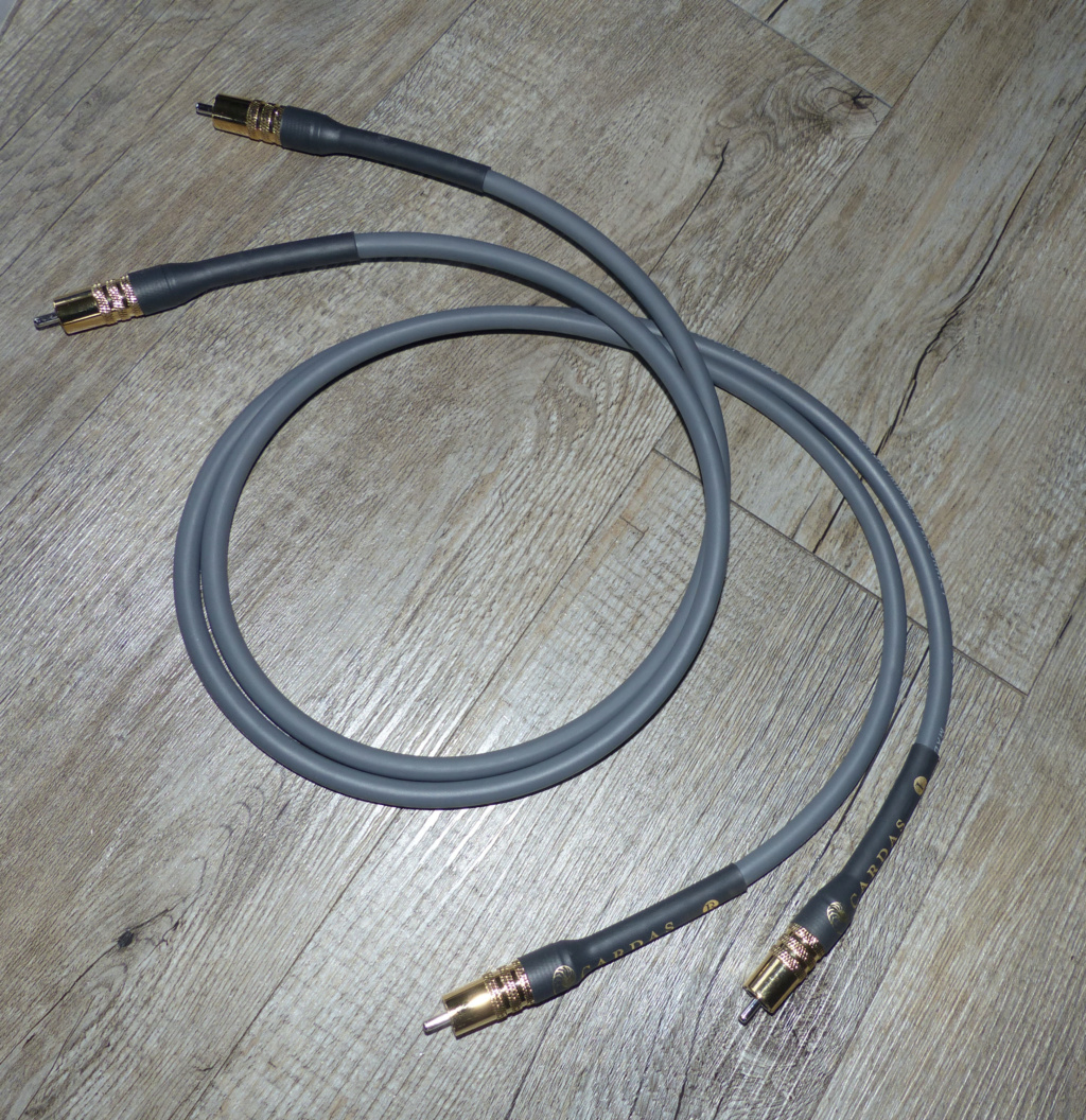 [Image: p1050916.jpg]