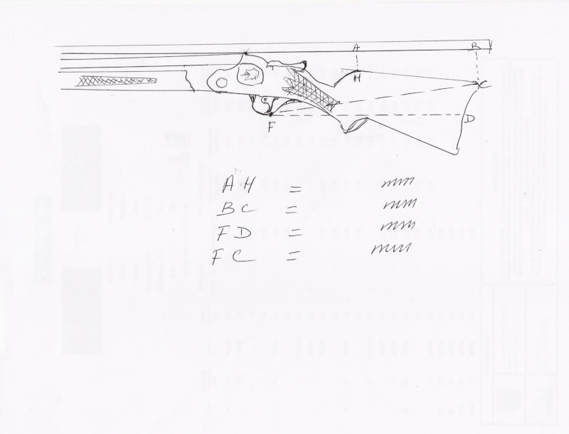 Et comment le choisir ce fusil? Choisi10