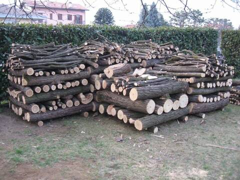 Come stimare il peso di legna resa da un albero - Pagina 2