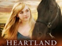 Heartland - Paradies für Pferde Heartl10
