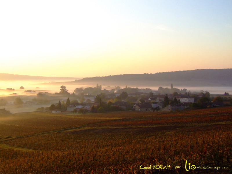 RANDO SAINT GENGOUX de SCISSE 03_pet10