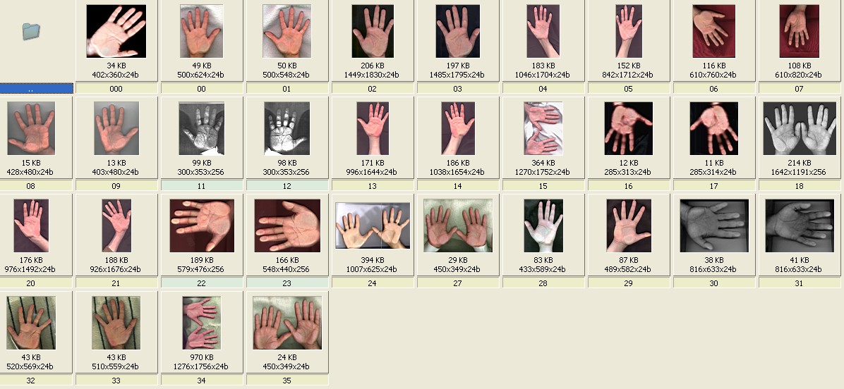 Do you have normal finger length? [locked] - Page 9 2012-010