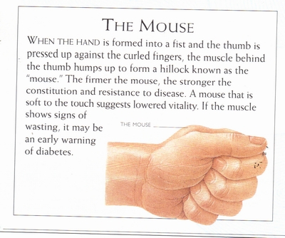 Where is the 'mouse' of the hand hiding...??? 9-17-210
