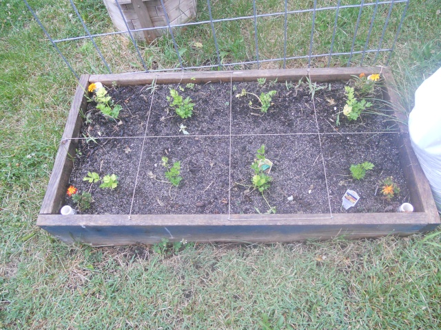 Beginning to look like garden season Dscn0611
