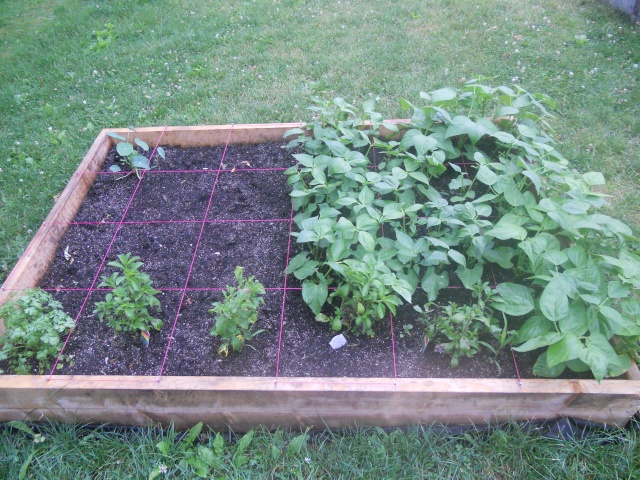 Beginning to look like garden season Dscn0615