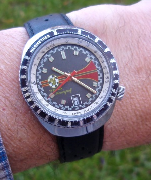 Vostok ministry "rally" Image_35