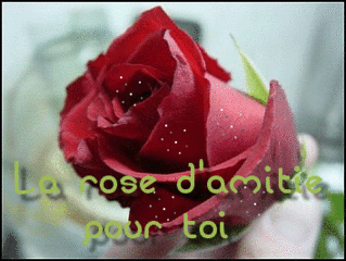 C'est quoi l'amitié virtuelle Rose_d10