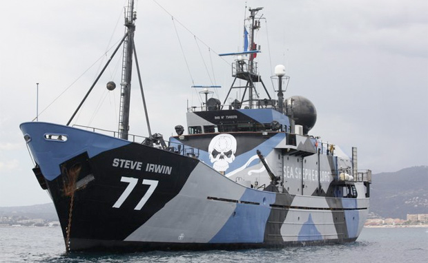 Présentation de Sea Shepherd. Steve_10