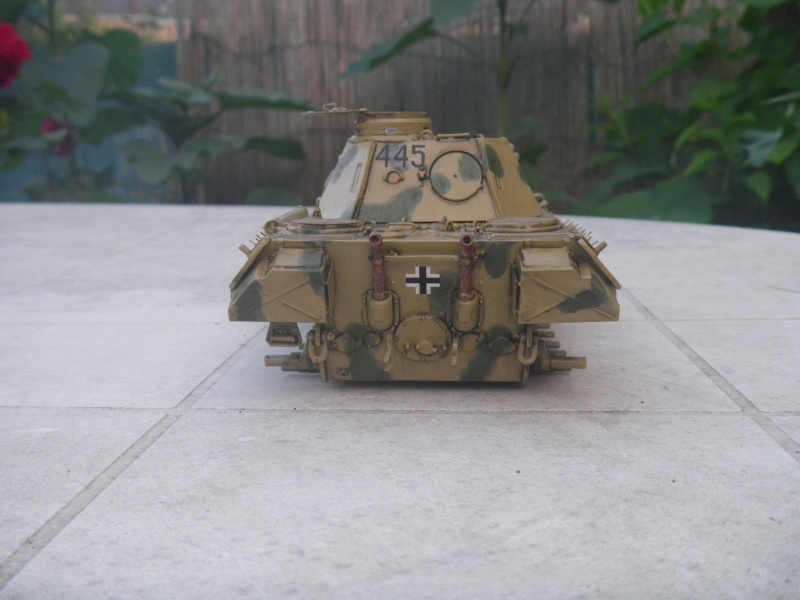 Dragon Sd.Kfz.171 Panther D 1/35 (Kit n° 6299 Premium Edition) par Paulo et Skaarj - Page 7 Imgp1423