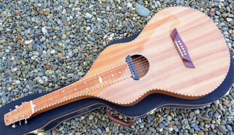 Les guitares de nos luthiers (description des guitares, merci de ne pas commenter dans cette rubrique) Dsc_0011