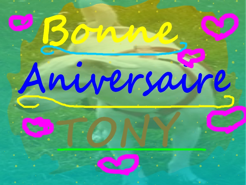 Bon anniversaire Tony ! Bonne_10