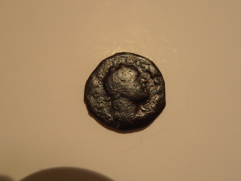 Monnaie coloniale (NIKOPOLIS), pour un flavien (Vespasien ou Titus) Pa250010