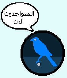 المتواجدون الآن ؟