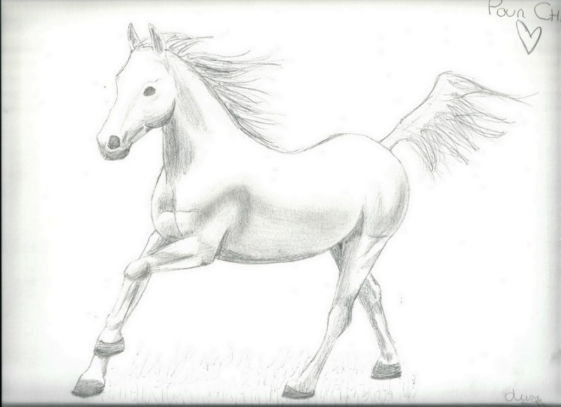 cheval Cheval10