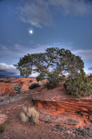 2011 Columbus Day "Discover Moab" trip Sand_f10