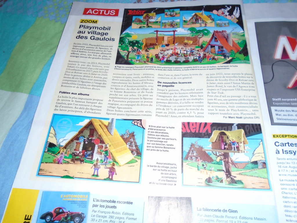 Asterix chez playmobil en 2022 - Page 2 Dsc02658