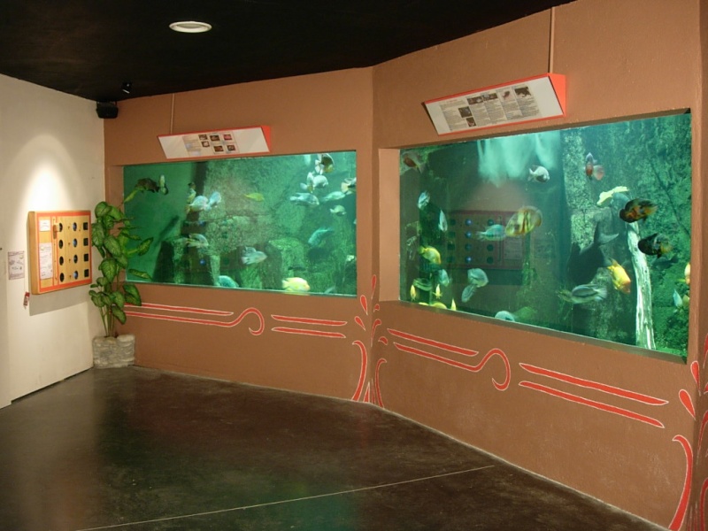Présentation Aquarium des Tropiques Aquari10