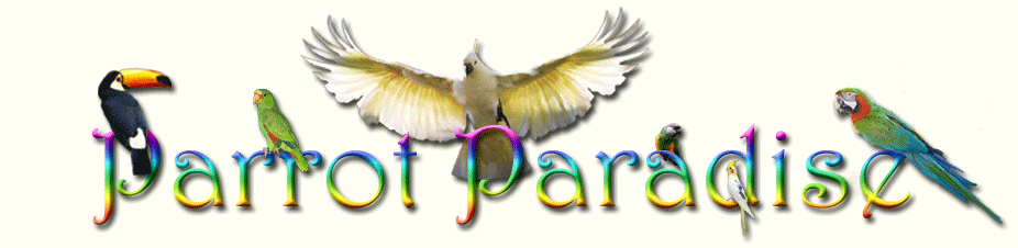 Parrot Paradise Forum