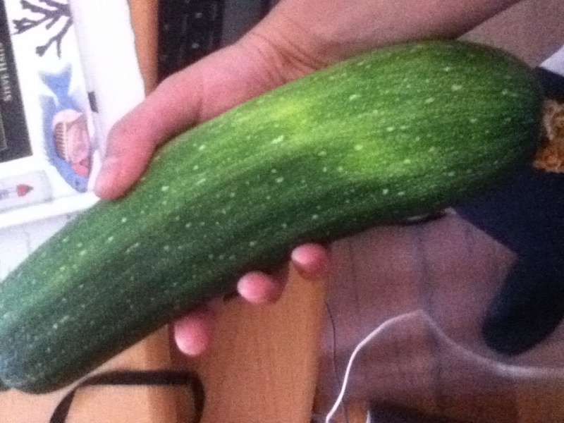 Growing zucchini Img_1110