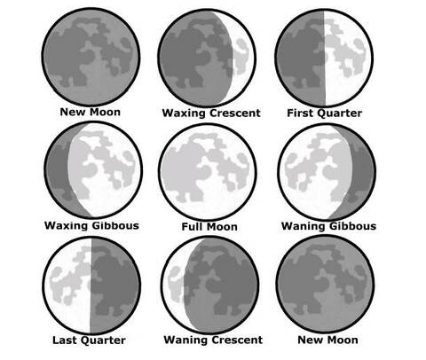 Moon Cycle Chart