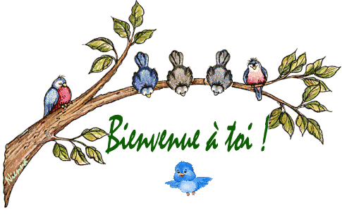 présentation aux membres du forum A10c6211
