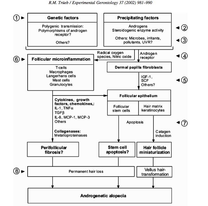 Diagram showing the various causal pathways in MPB Aga_pa10