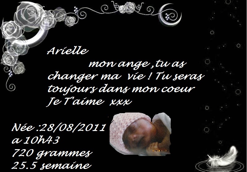 Mon ange parti trop tot Ariell14