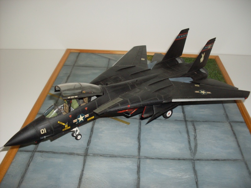 F-14 A TOMCAT Hasegawa 1/72 Sdc10120