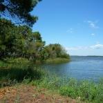 Lac de Lacanau – Grand lac public – La Gironde (33) Aa299