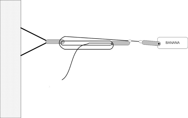 rollerbiner 50m  Drawin10