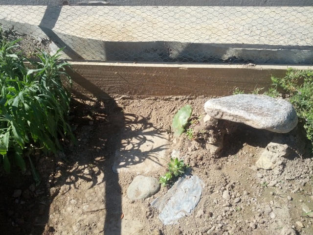 construction d'un enclos pour juvenile...debut des questions - Page 2 Coin_h11