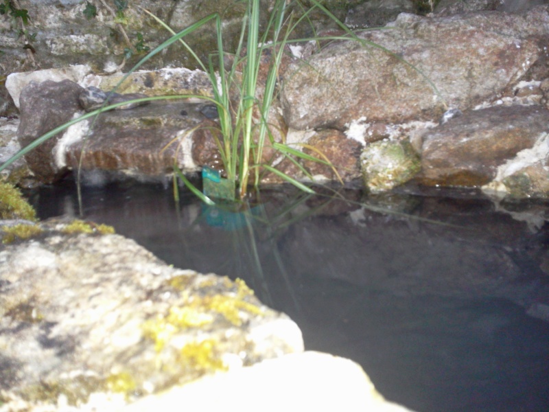  mini bassin integré a la terrasse : ca tourne ^^ Photo021