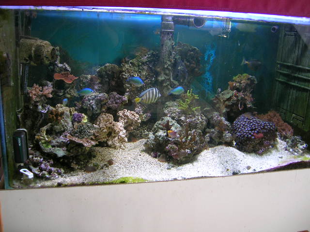 Bacs de Manu72 2005110