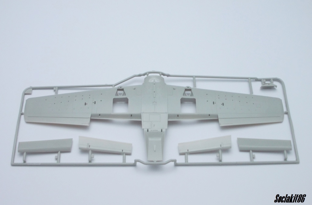 AD-4 Skyraider n°123895 /SFERMA 110 de l'EC 3/20  (Tamiya 1/48) 0128