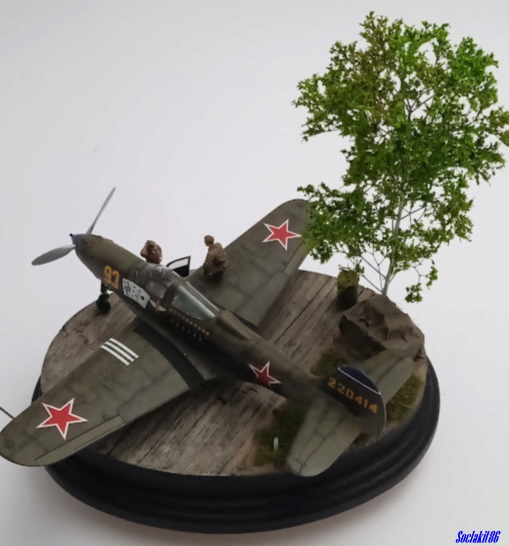 *1/48 - Bell P 39Q Airacobra - Eduard - Page 5 0298