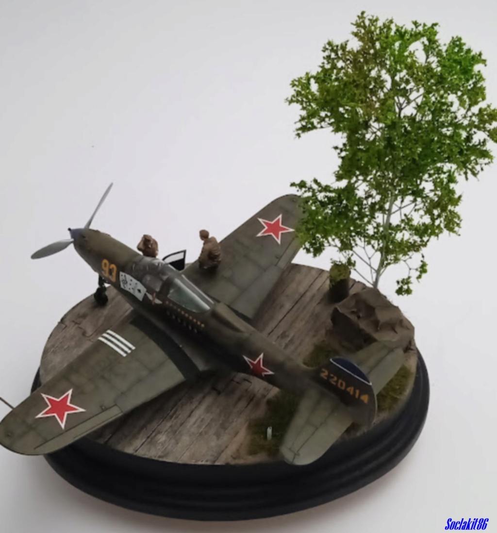 [Eduard] 1/48 - Bell P-39Q Airacobra (aux couleurs  Soviétiques)  - Page 3 0298