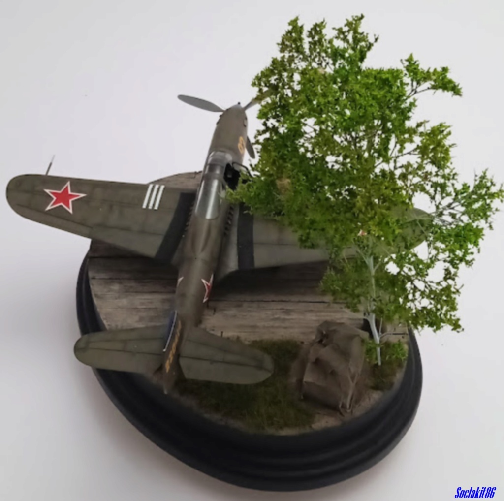 Bell P-39Q Airacobra de A. P. Filatov du 30 GIAP , 273 GIAD (Eduard 1/48)  0396