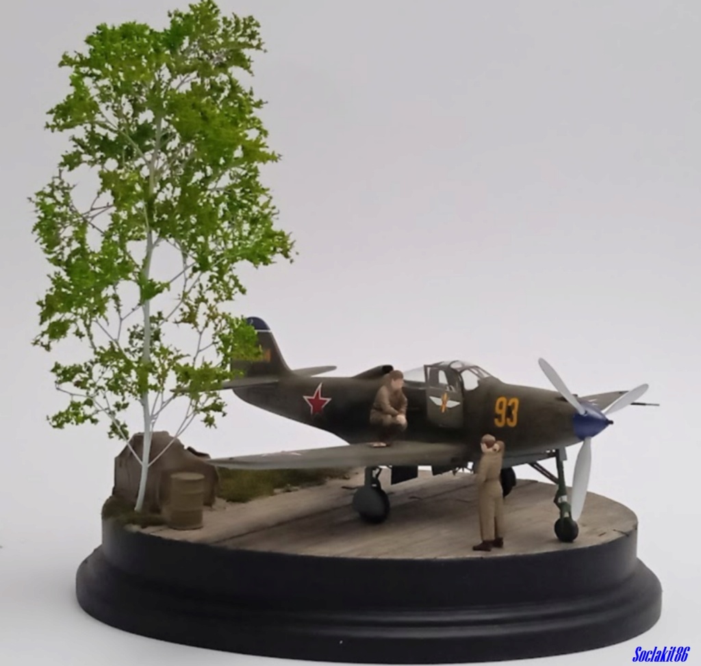 Bell P-39Q Airacobra de A. P. Filatov du 30 GIAP , 273 GIAD (Eduard 1/48)  0880