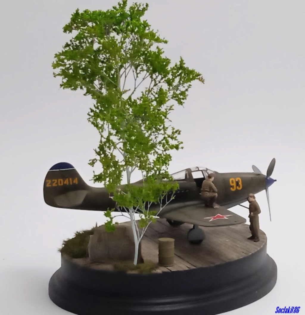 *1/48 - Bell P 39Q Airacobra - Eduard - Page 5 0973