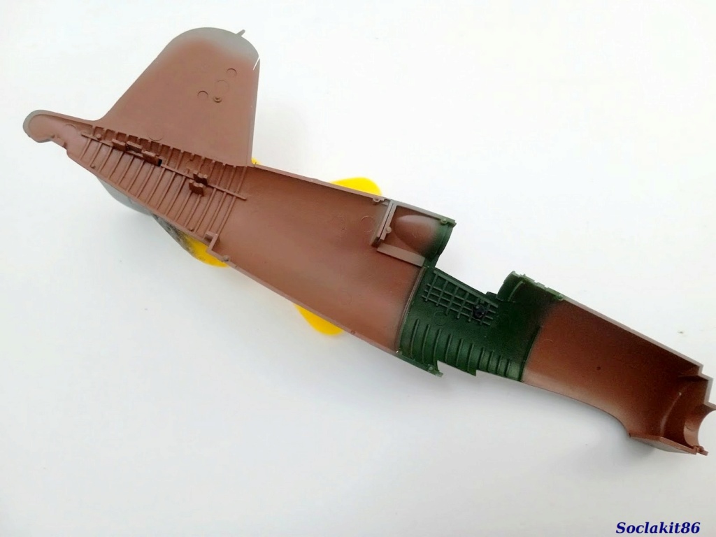 1/48 - Chance Vought F4U-1 et 2 Corsair "Birdcage" - Hobby Boss et Tamiya 11109